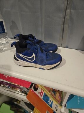 Nike Kids Blue and White Hook-and-Loop Sneakers
